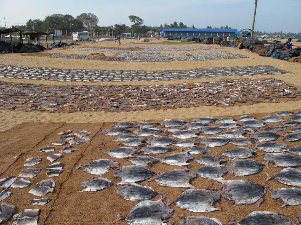Zand Negombo Ettukala Ngoại thất bức ảnh